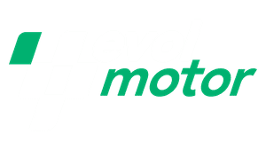 evol motor agencia automoción